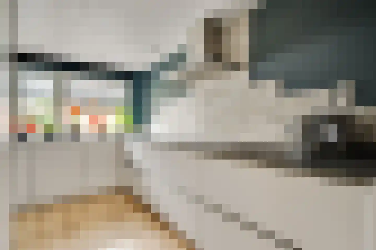 Anemoonhof 21 Weert thumbnail 12