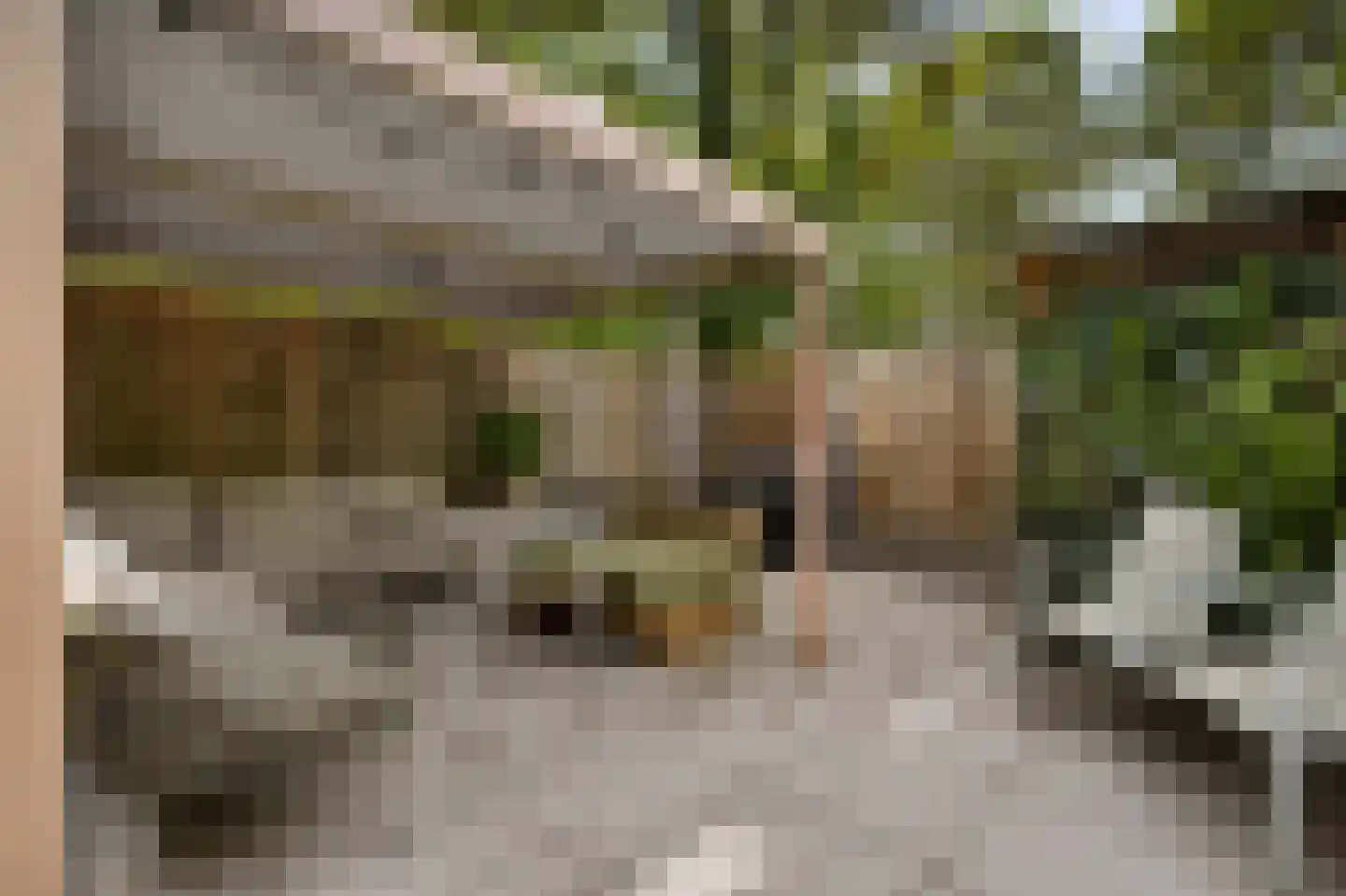 Anemoonhof 21 Weert thumbnail 28