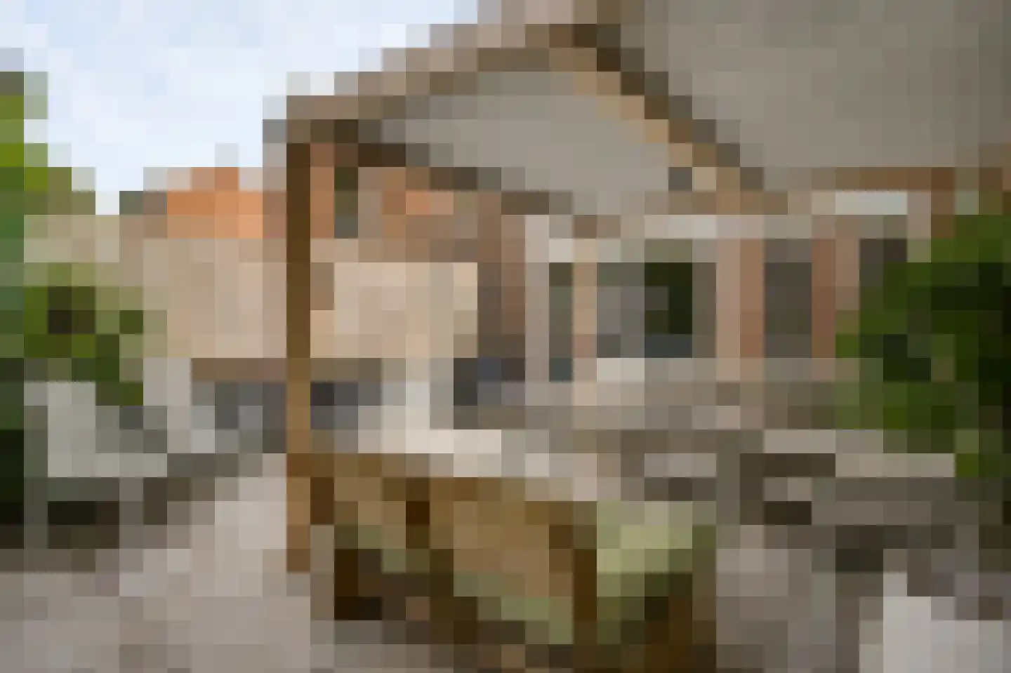 Anemoonhof 21 Weert thumbnail 29