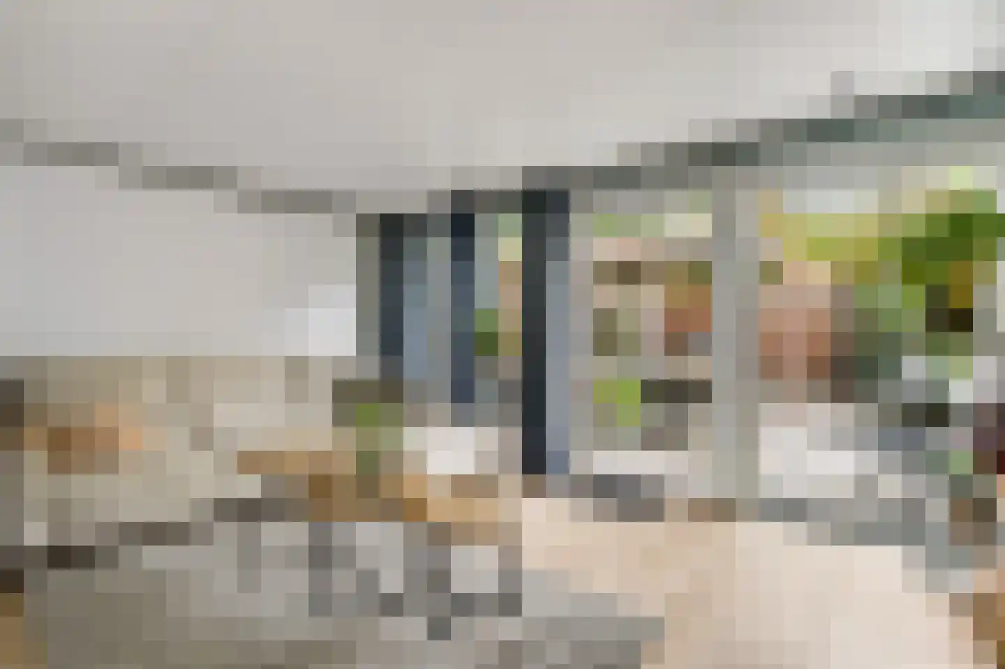 Anemoonhof 21 Weert thumbnail 7