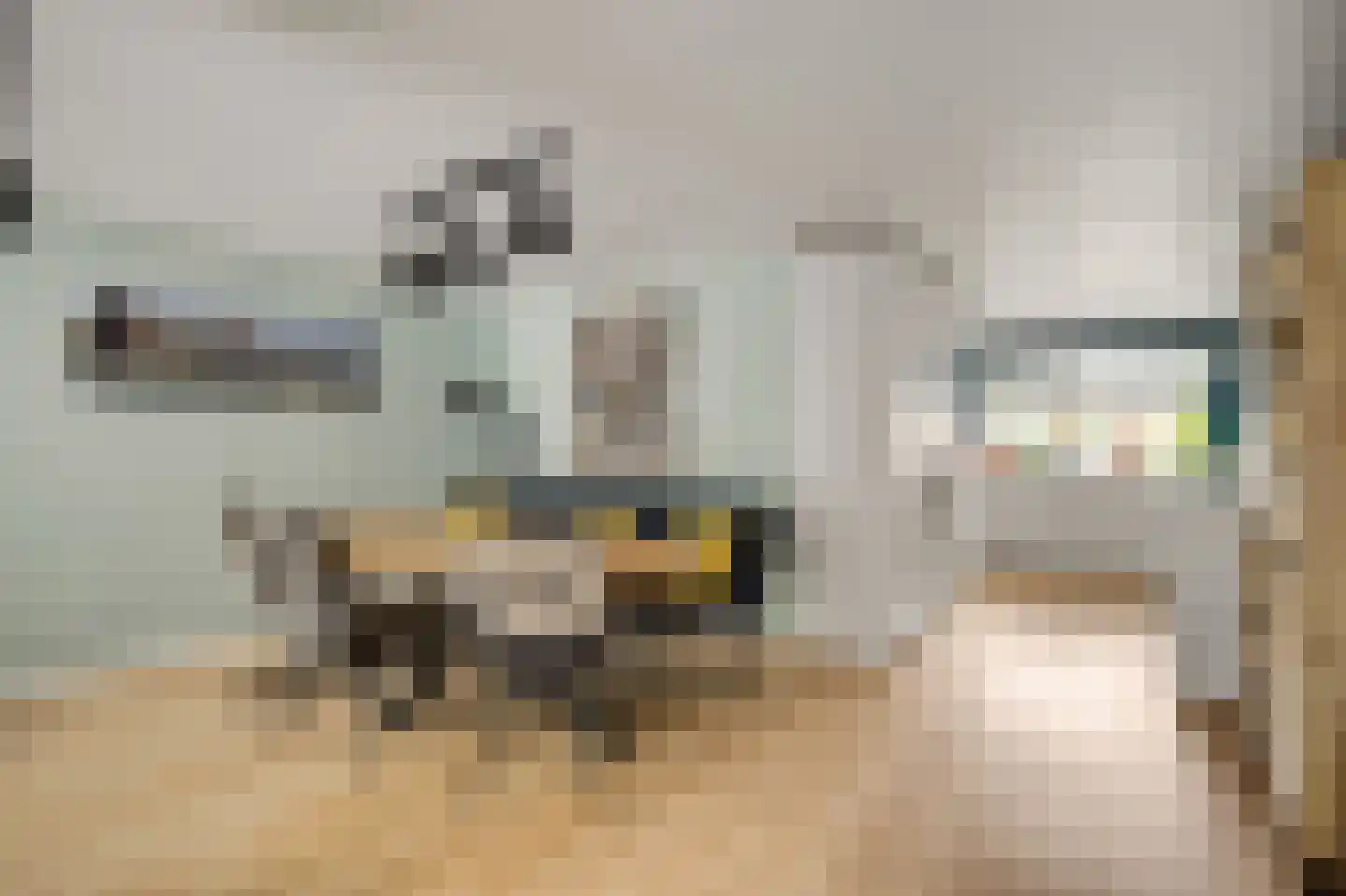 Anemoonhof 21 Weert thumbnail 8