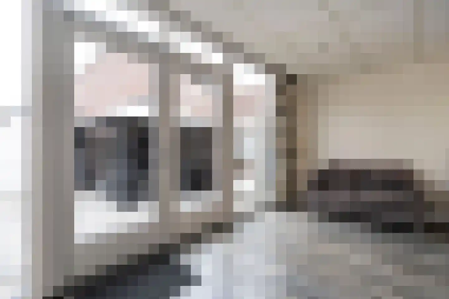 Anemoonhof 28 Weert thumbnail 12