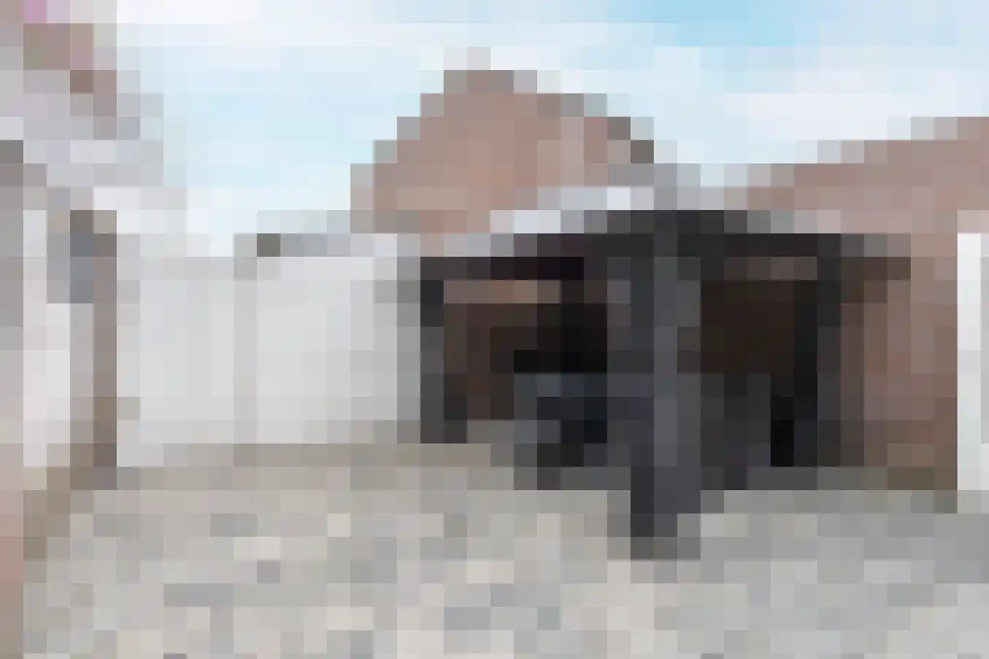 Anemoonhof 28 Weert thumbnail 26