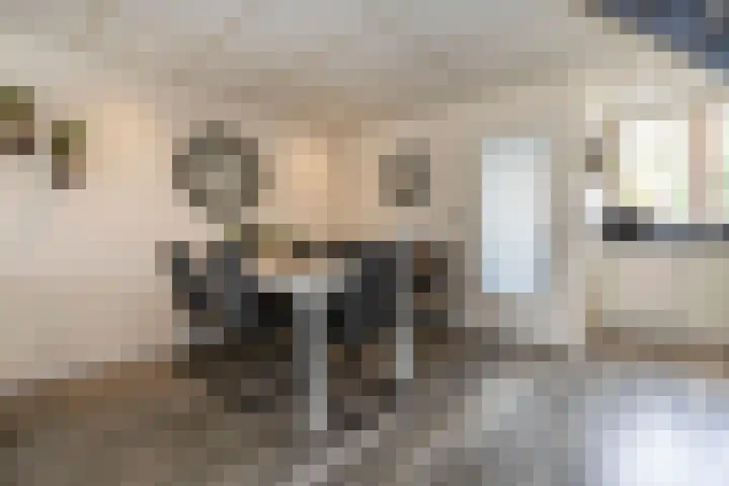 Anemoonhof 28 Weert thumbnail 4