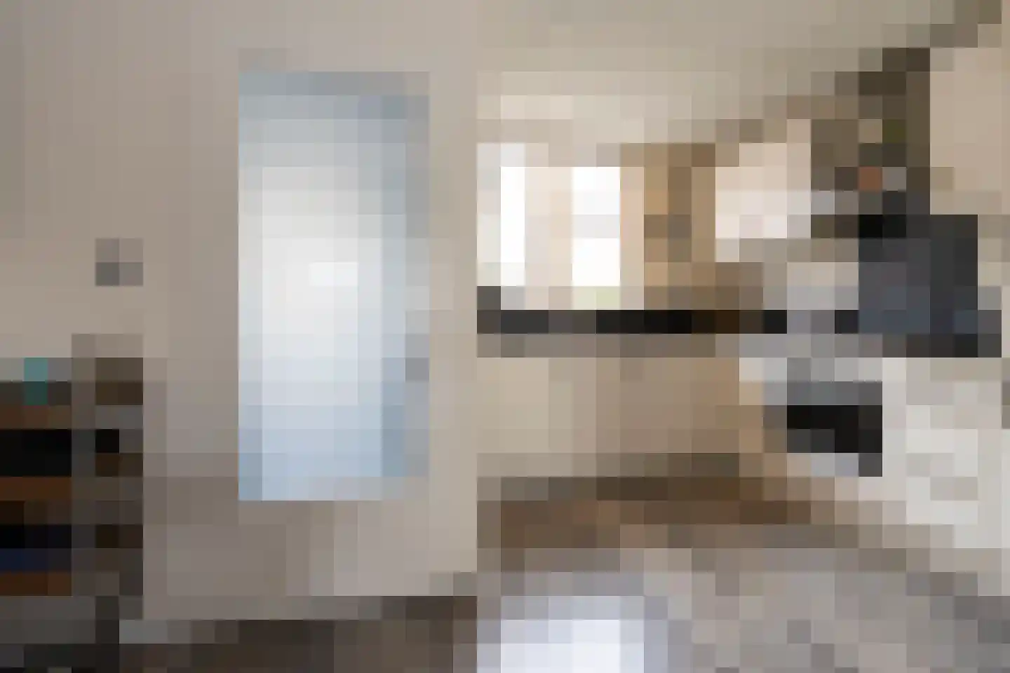 Anemoonhof 28 Weert thumbnail 6