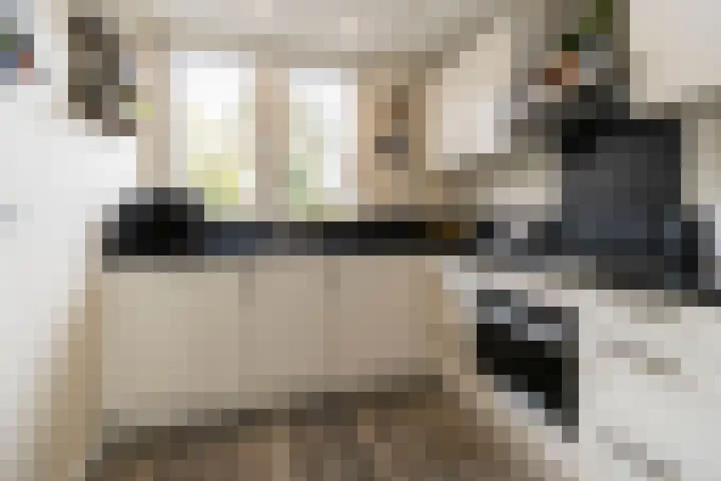 Anemoonhof 28 Weert thumbnail 7