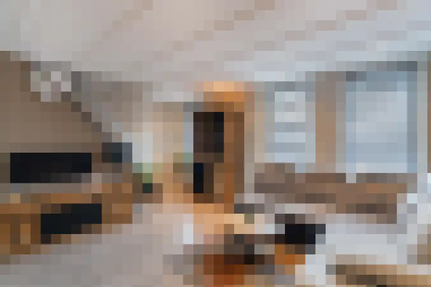 Anemoonhof 29 Weert thumbnail 12
