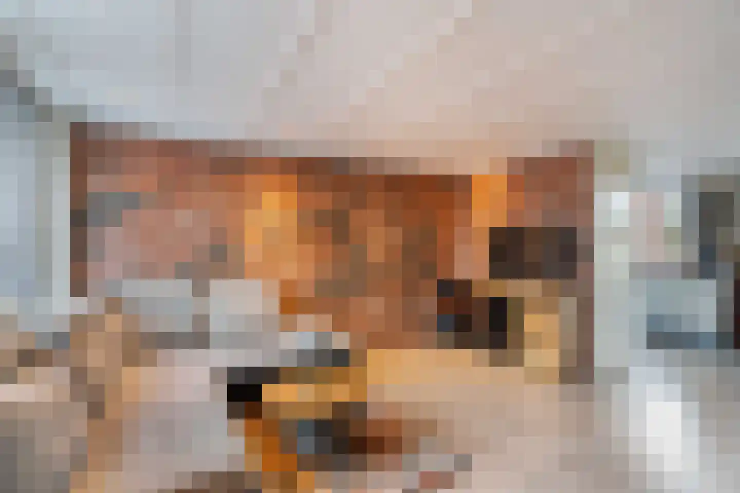 Anemoonhof 29 Weert thumbnail 14