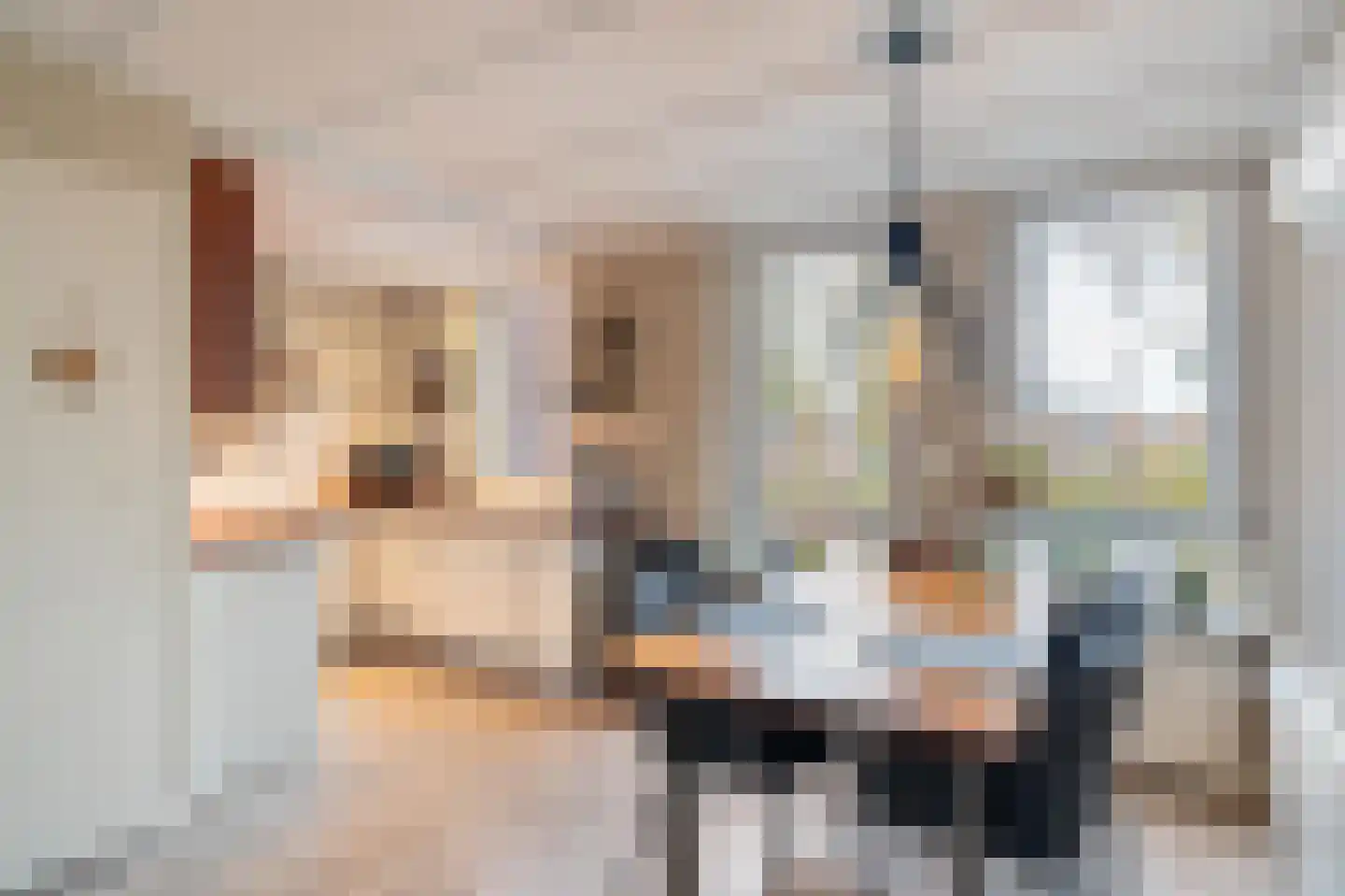 Anemoonhof 29 Weert thumbnail 15