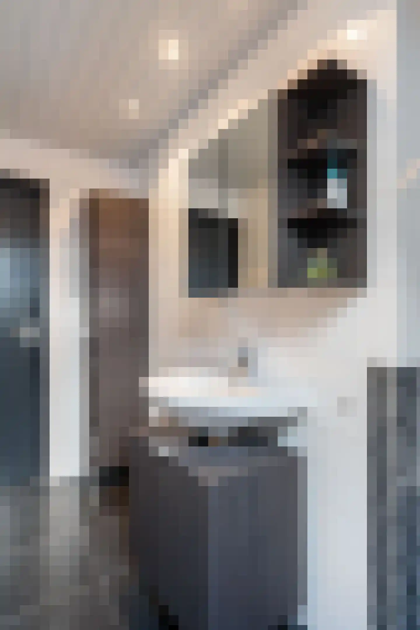 Anemoonhof 29 Weert thumbnail 23