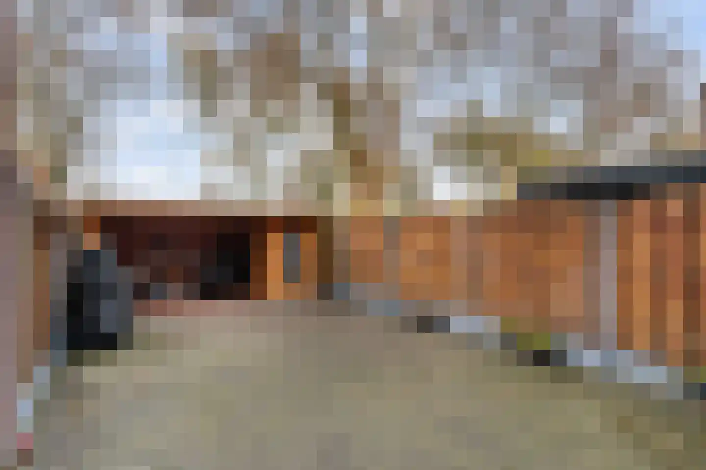 Anemoonhof 29 Weert thumbnail 30