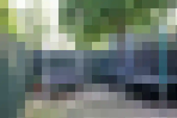 Anemoonhof 3 Weert thumbnail 15