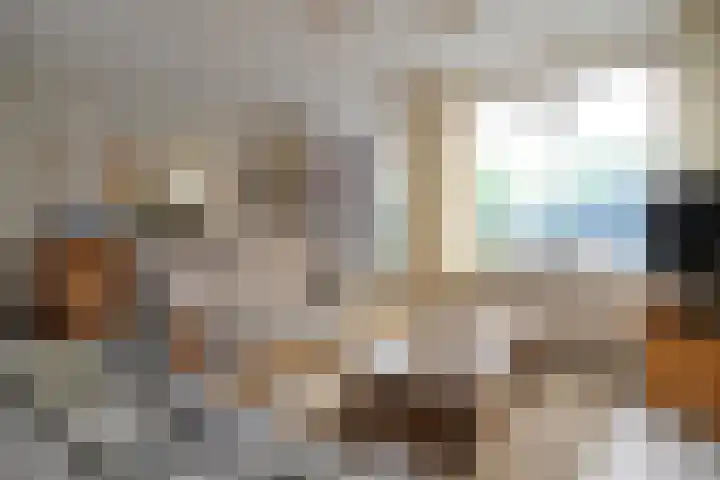 Anemoonhof 3 Weert thumbnail 7