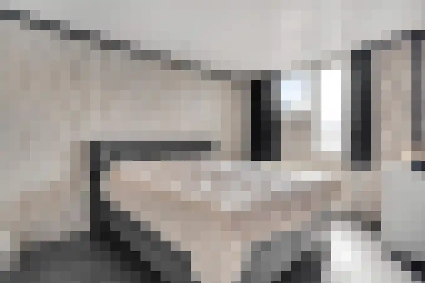 Anemoonhof 40 Weert thumbnail 19