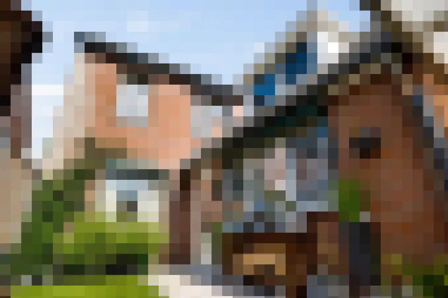 Anemoonhof 40 Weert thumbnail 21