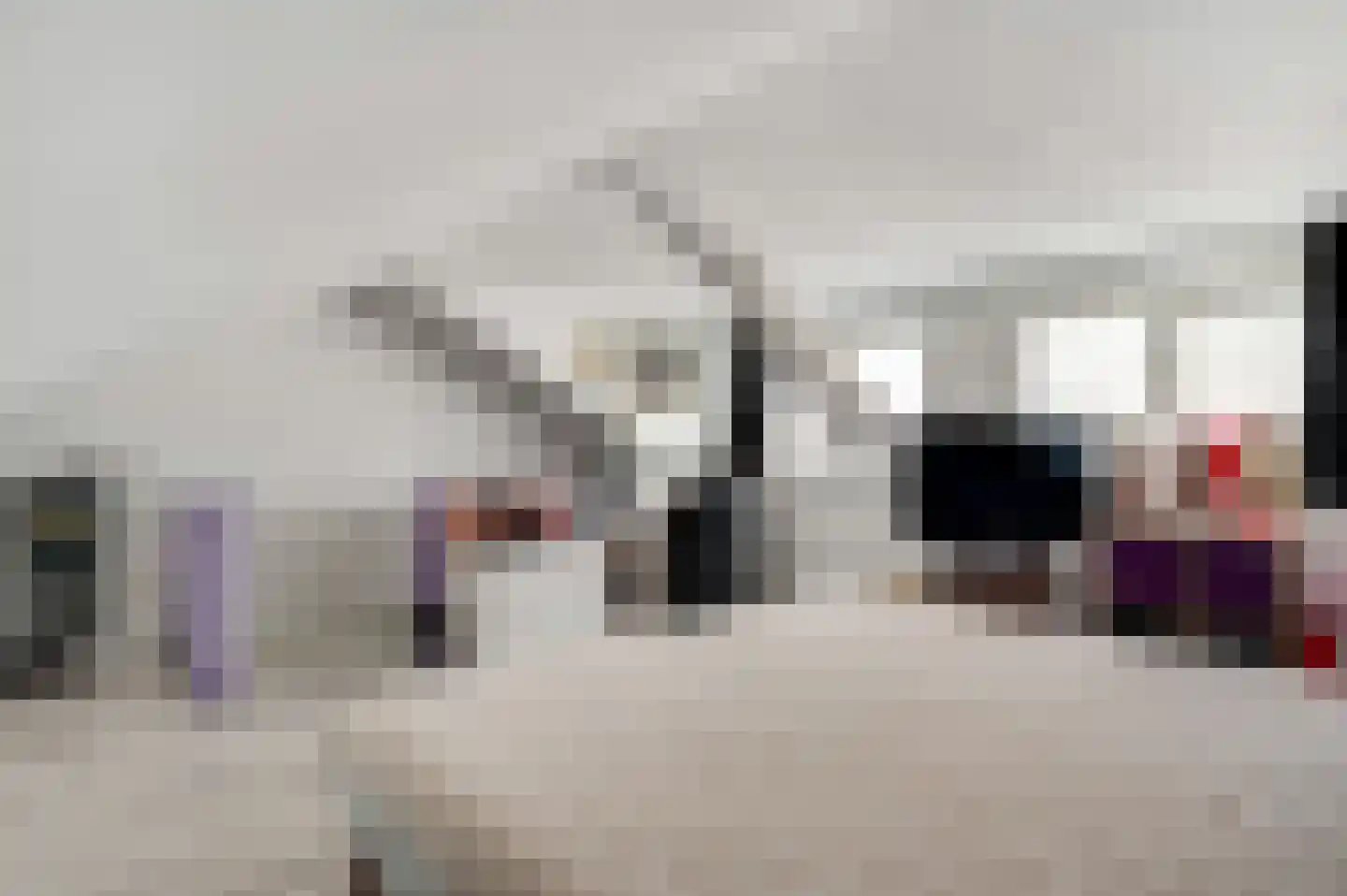 Anemoonhof 40 Weert thumbnail 26