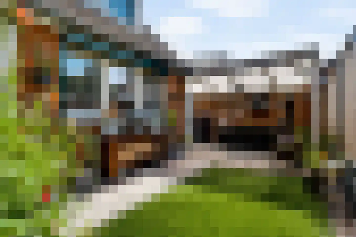 Anemoonhof 40 Weert thumbnail 29