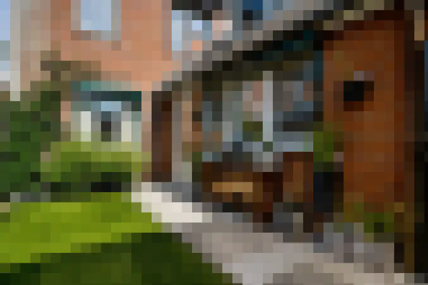 Anemoonhof 40 Weert thumbnail 30