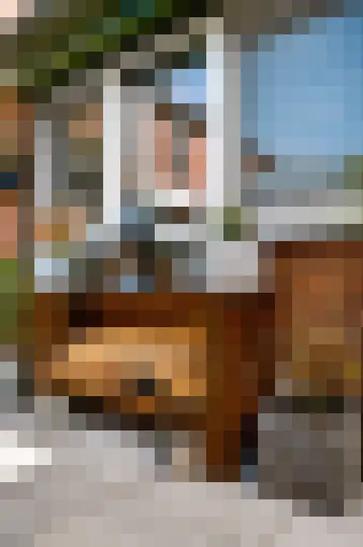 Anemoonhof 40 Weert thumbnail 31