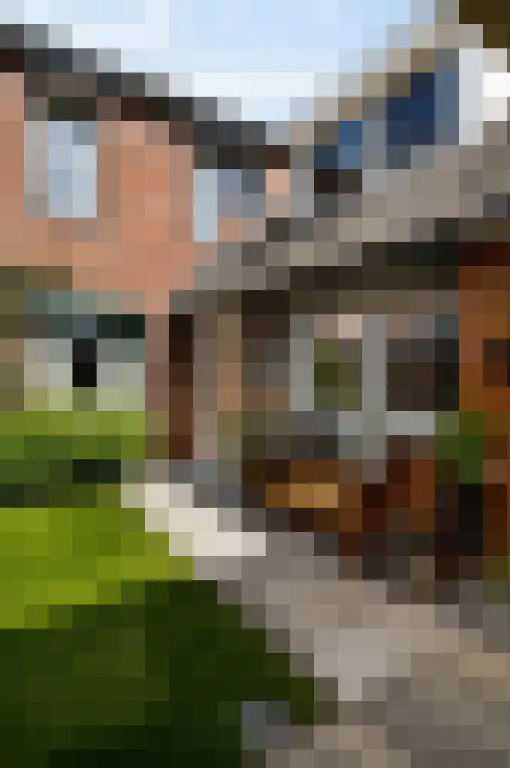 Anemoonhof 40 Weert thumbnail 33