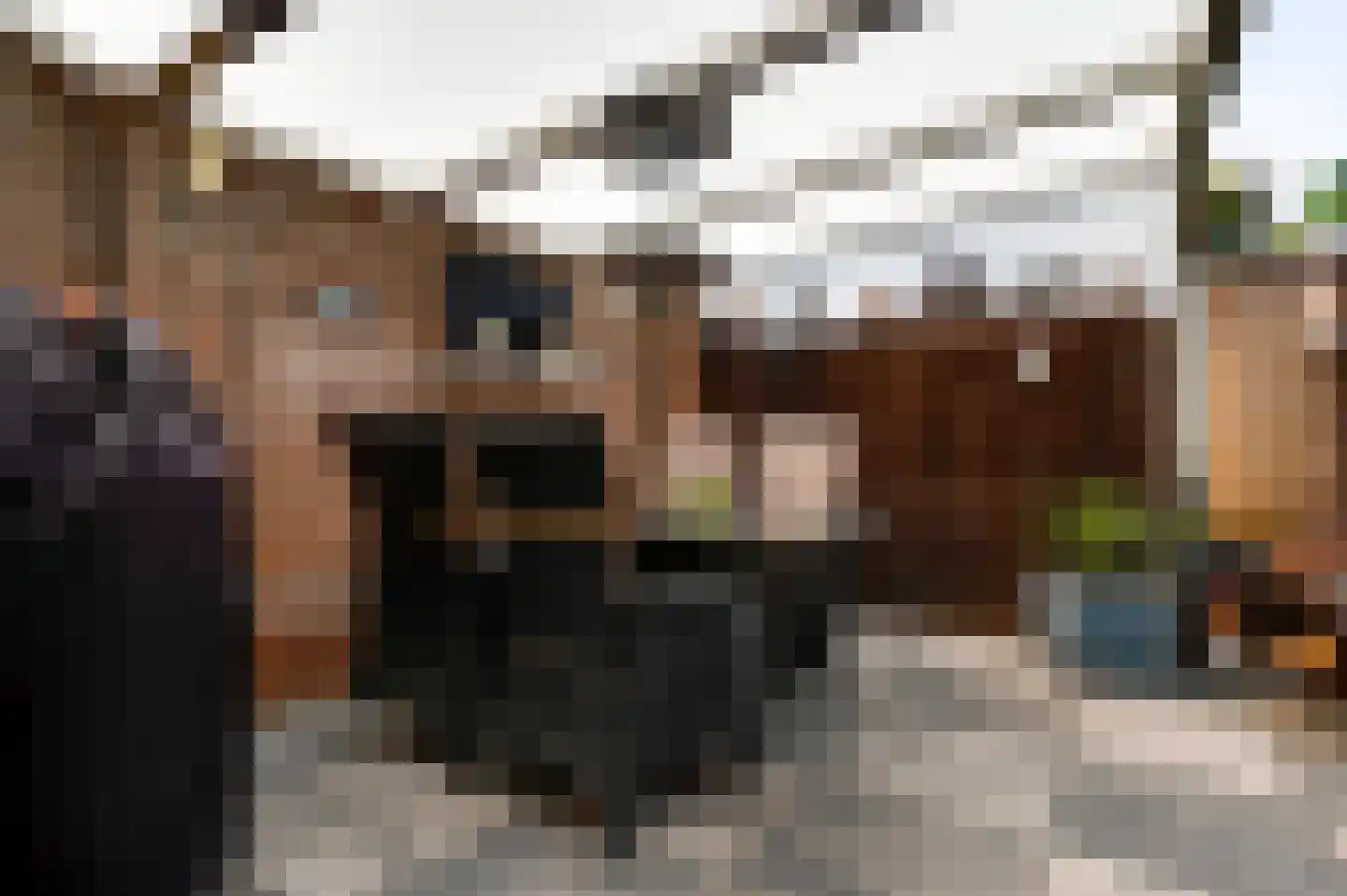 Anemoonhof 40 Weert thumbnail 34