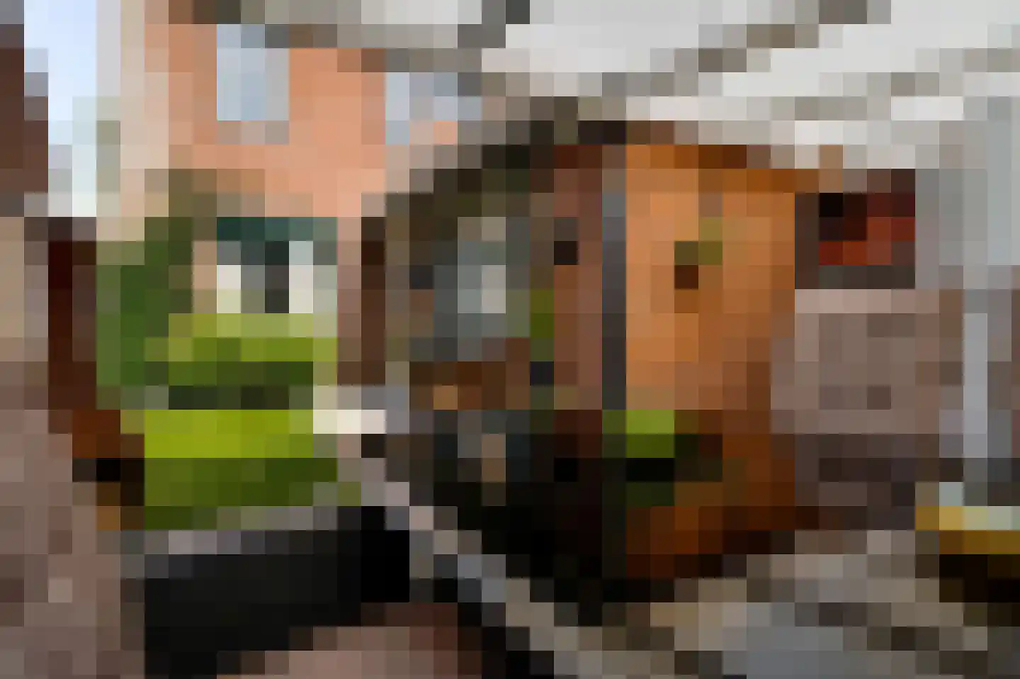 Anemoonhof 40 Weert thumbnail 35