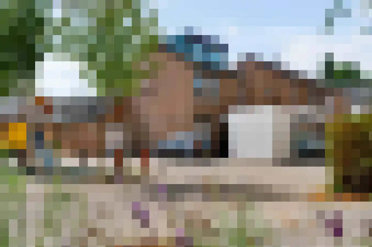 Anemoonhof 40 Weert thumbnail 4