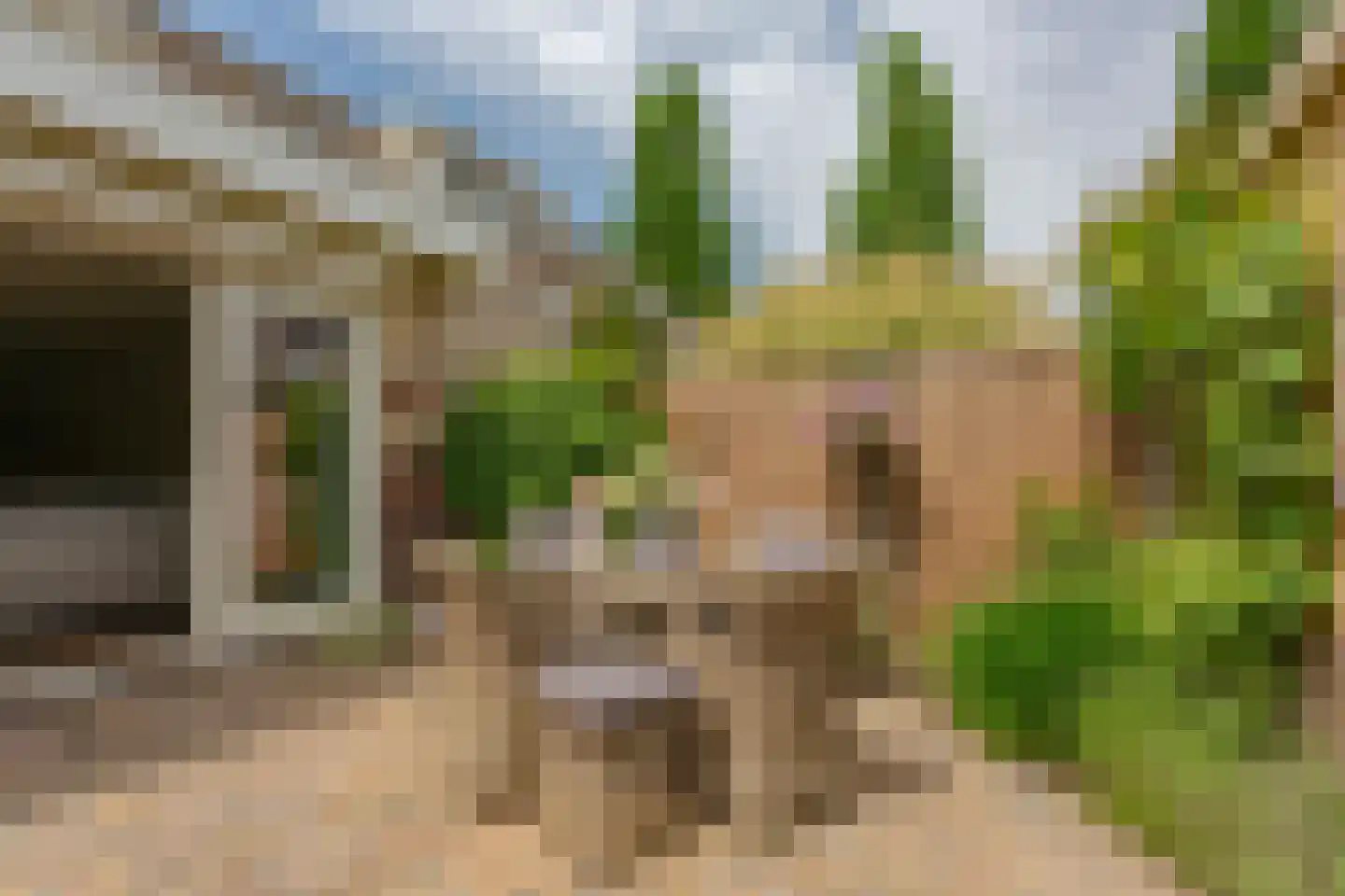 Anemoonlaan 11 Badhoevedorp thumbnail 18