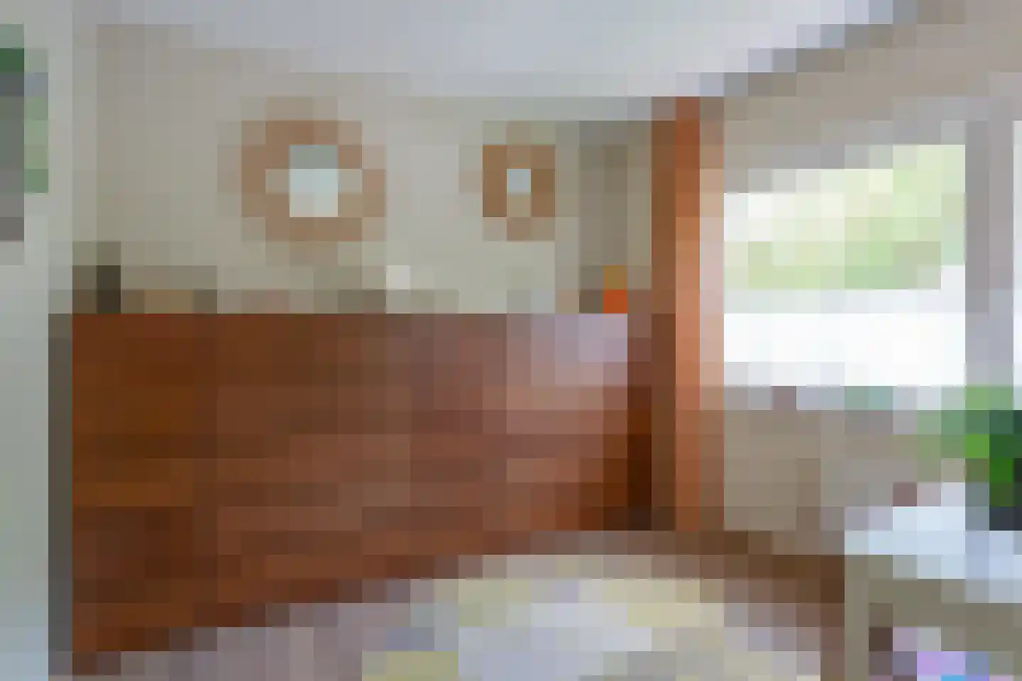 Anemoonlaan 11 Badhoevedorp thumbnail 26