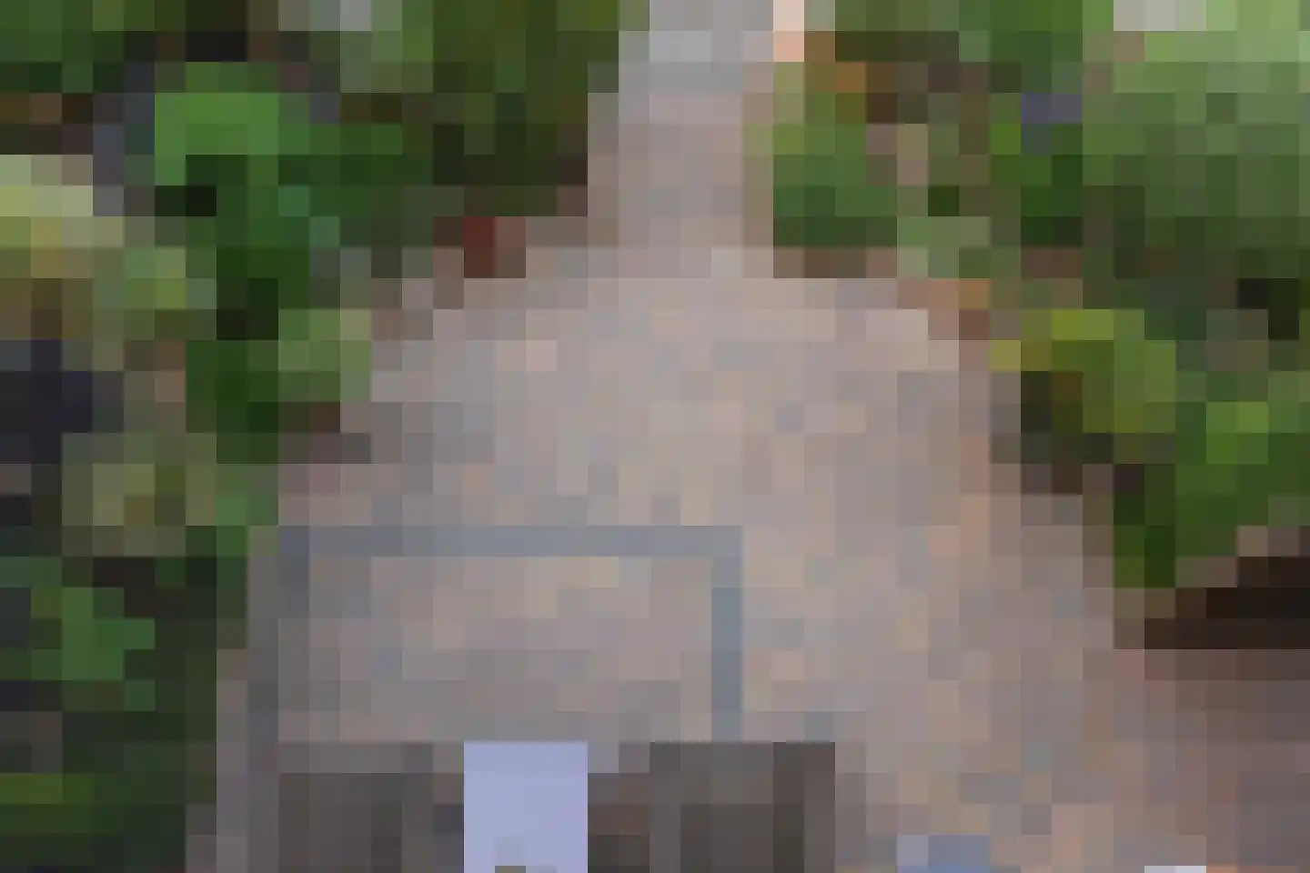 Anemoonlaan 11 Badhoevedorp thumbnail 31