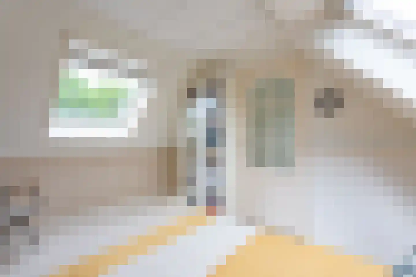 Anemoonlaan 11 Badhoevedorp thumbnail 37