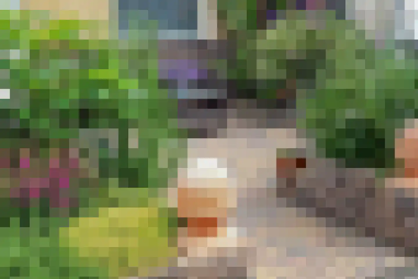 Anemoonlaan 11 Badhoevedorp thumbnail 39