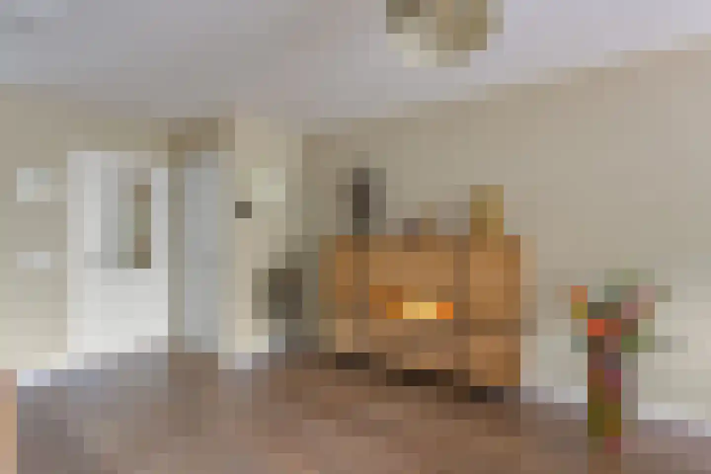 Anemoonlaan 11 Badhoevedorp thumbnail 9