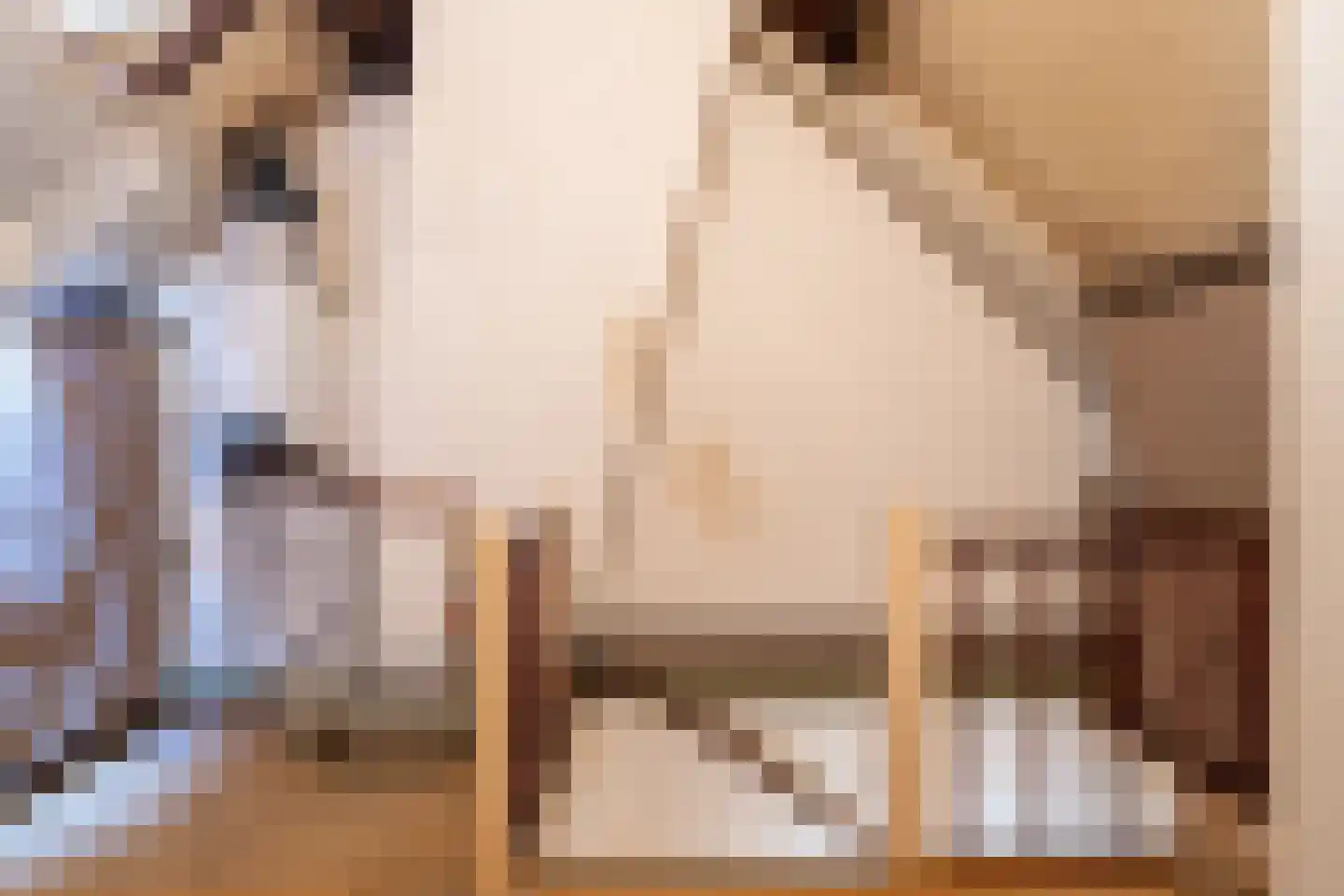 Anemoonlaan 11 Raamsdonksveer thumbnail 16