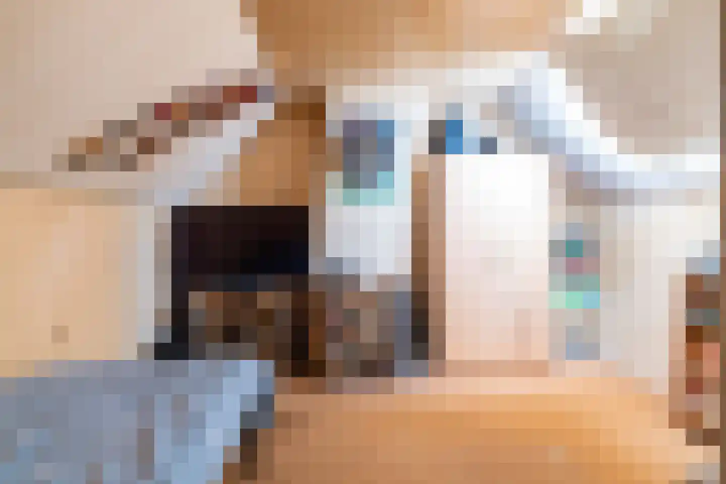 Anemoonlaan 11 Raamsdonksveer thumbnail 17