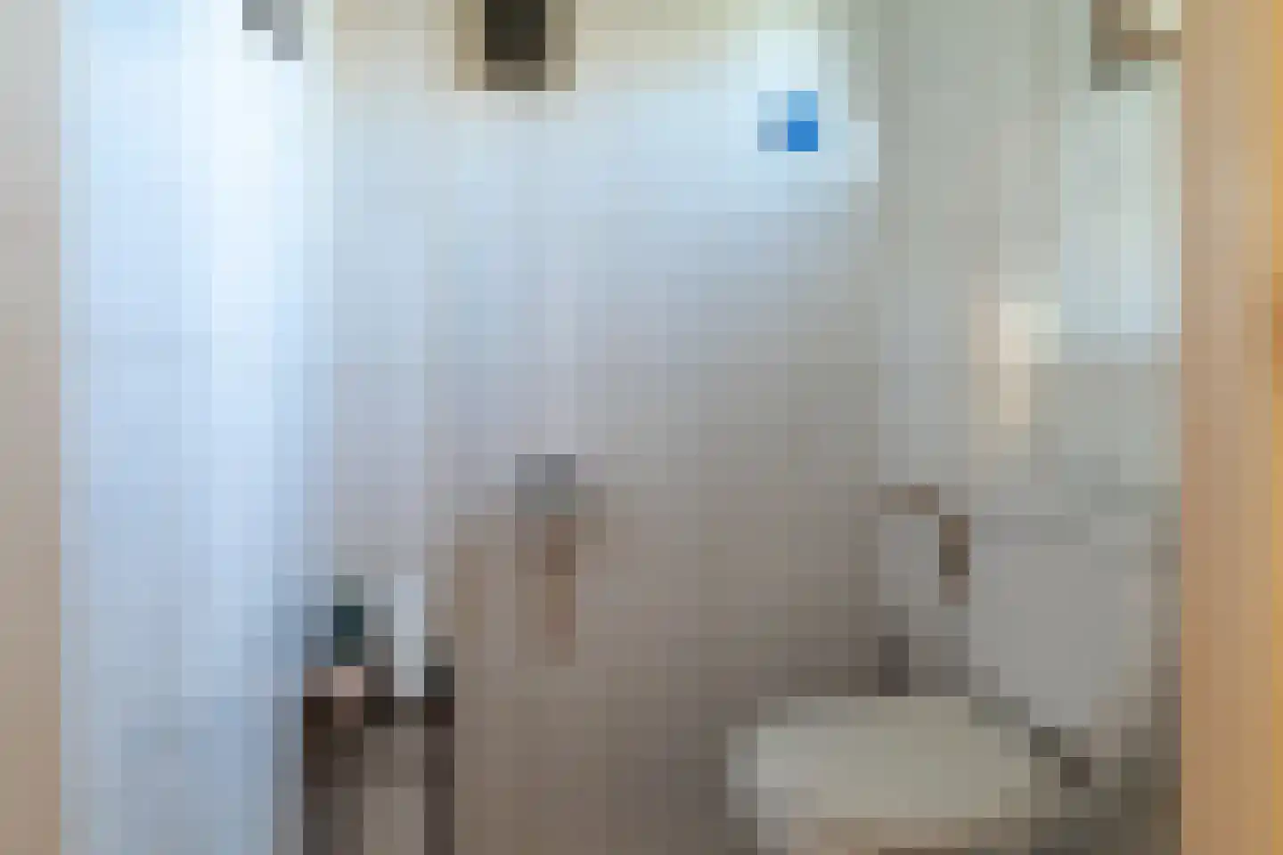 Anemoonlaan 11 Raamsdonksveer thumbnail 6