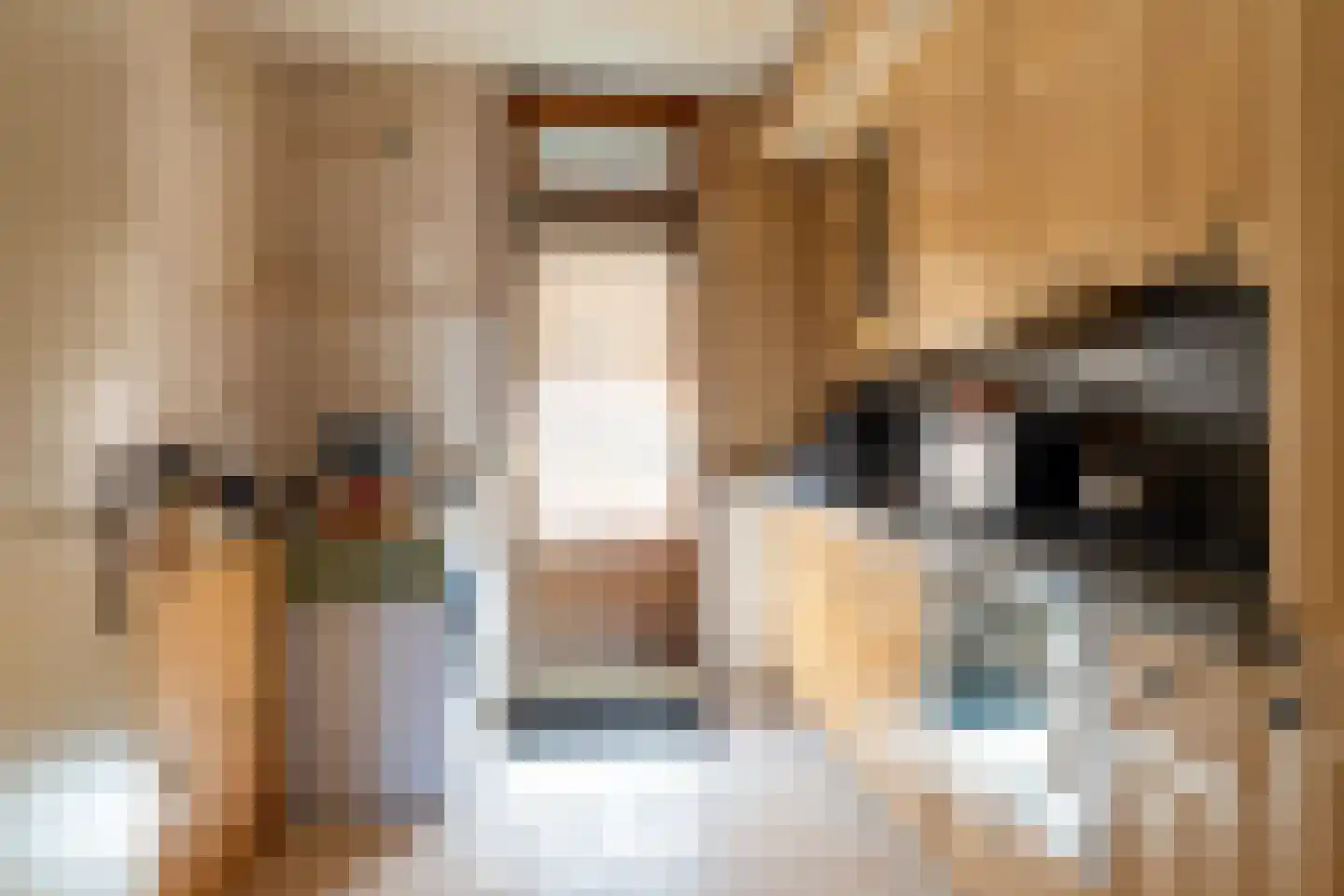 Anemoonlaan 11 Raamsdonksveer thumbnail 7