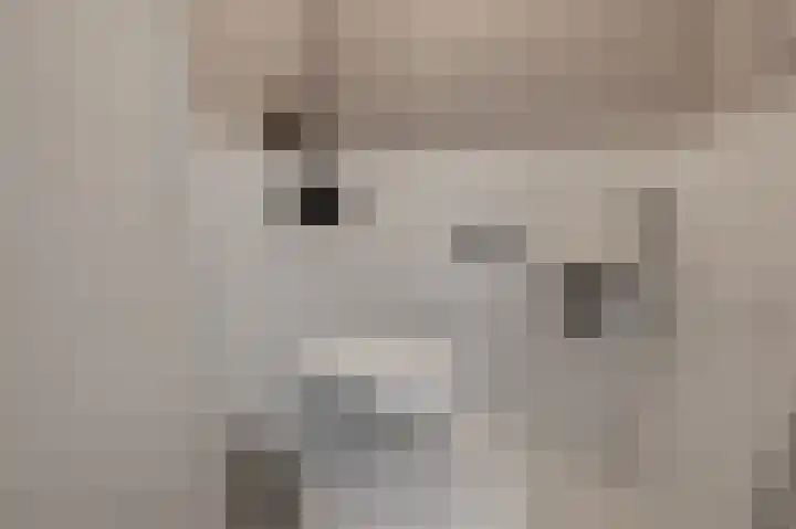 Anemoonlaan 12 De Kwakel thumbnail 15