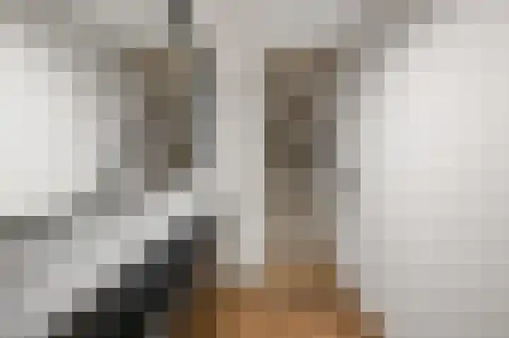 Anemoonlaan 12 De Kwakel thumbnail 16