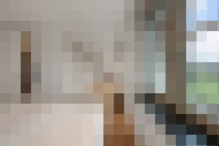 Anemoonlaan 12 De Kwakel thumbnail 18