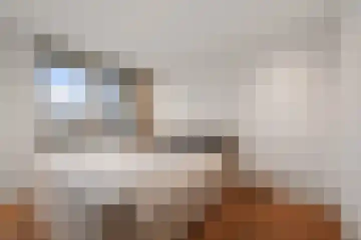 Anemoonlaan 12 De Kwakel thumbnail 19