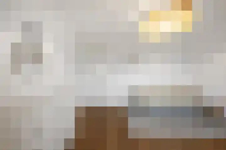 Anemoonlaan 12 De Kwakel thumbnail 26