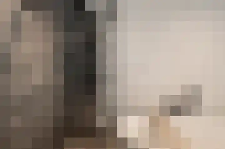 Anemoonlaan 12 De Kwakel thumbnail 29
