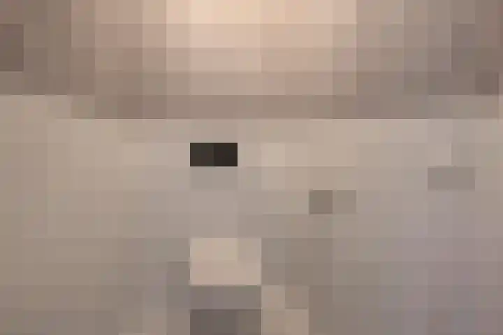 Anemoonlaan 12 De Kwakel thumbnail 31