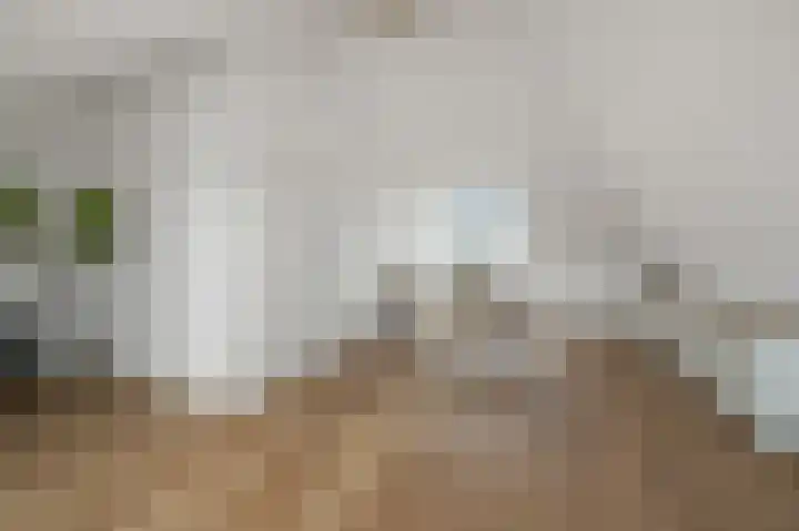 Anemoonlaan 12 De Kwakel thumbnail 34