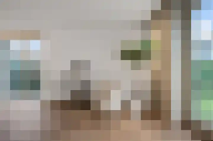 Anemoonlaan 12 De Kwakel thumbnail 7
