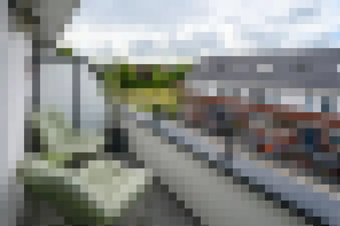 Anemoonlaan 19 De Kwakel thumbnail 13