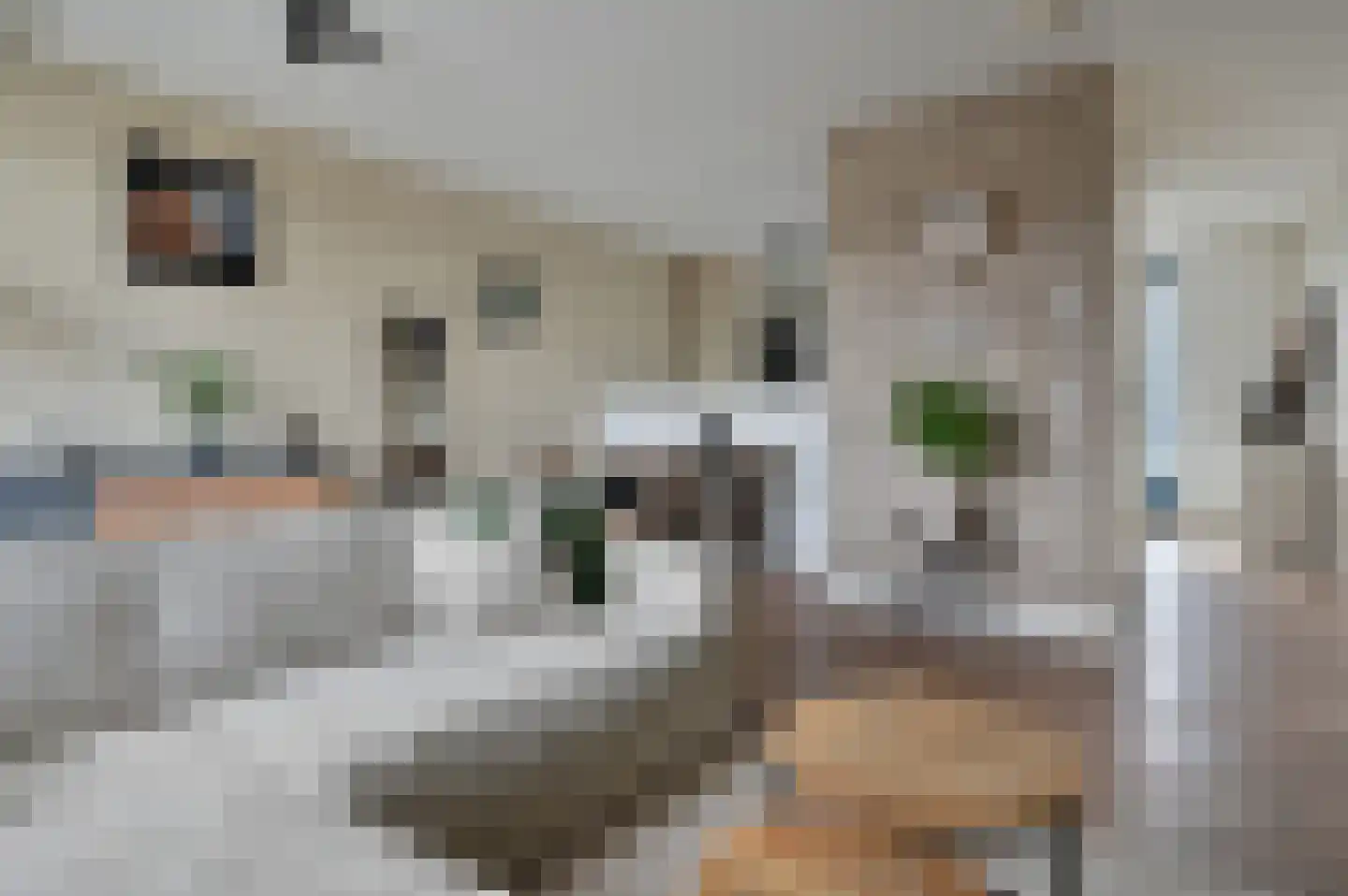 Anemoonlaan 19 De Kwakel foto 2