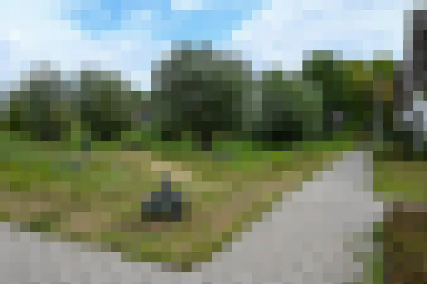 Anemoonlaan 19 De Kwakel thumbnail 24