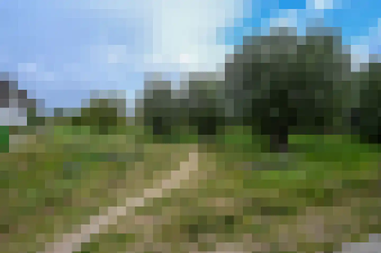 Anemoonlaan 19 De Kwakel thumbnail 25